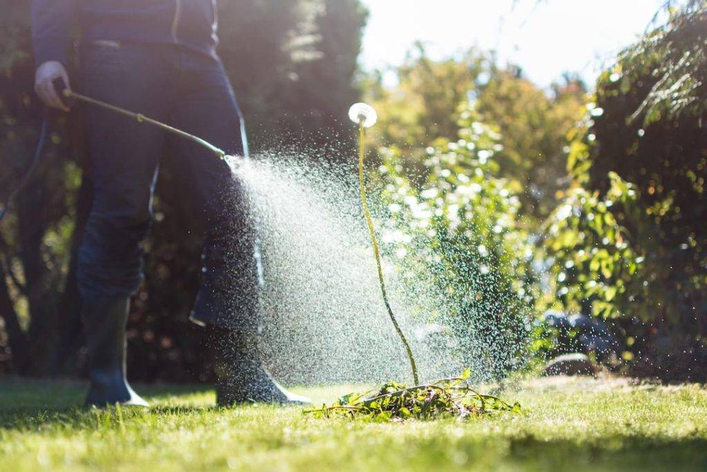 Weed Control Birmingham