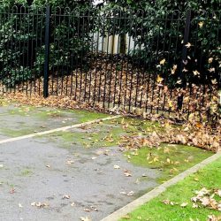 Header Grounds Maintnenace