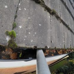 gutter cleaning