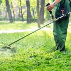 Worker Mowing Tall Grass With Electric Or Petrol Lawn Trimmer In City Park Or Backyard. Gardening Care Tools And Equipment. Process Of Lawn Trimming With Hand Mower